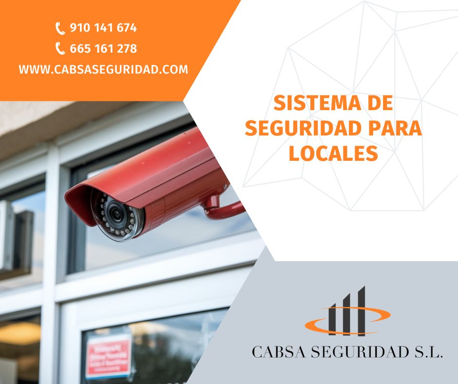 sistema-seguridad-locales